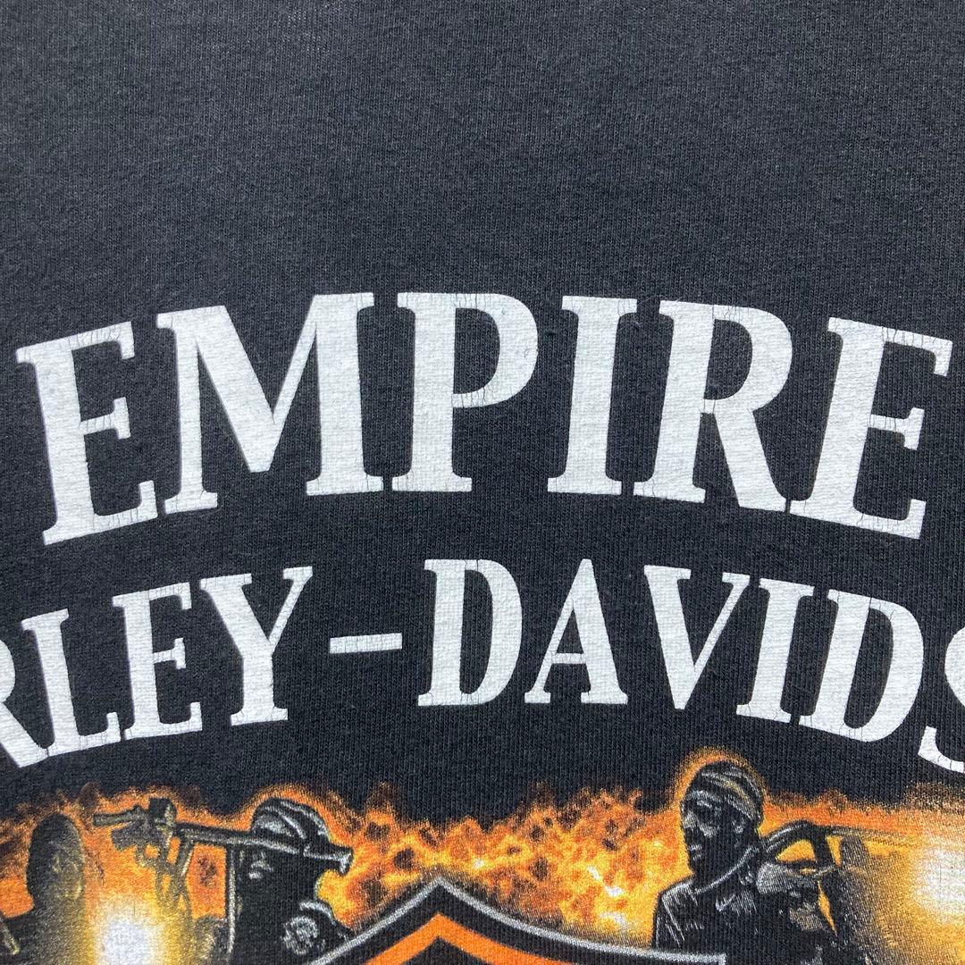 希少 HARLEY DAVIDSON ロンT ハーレーダビッドソン flame