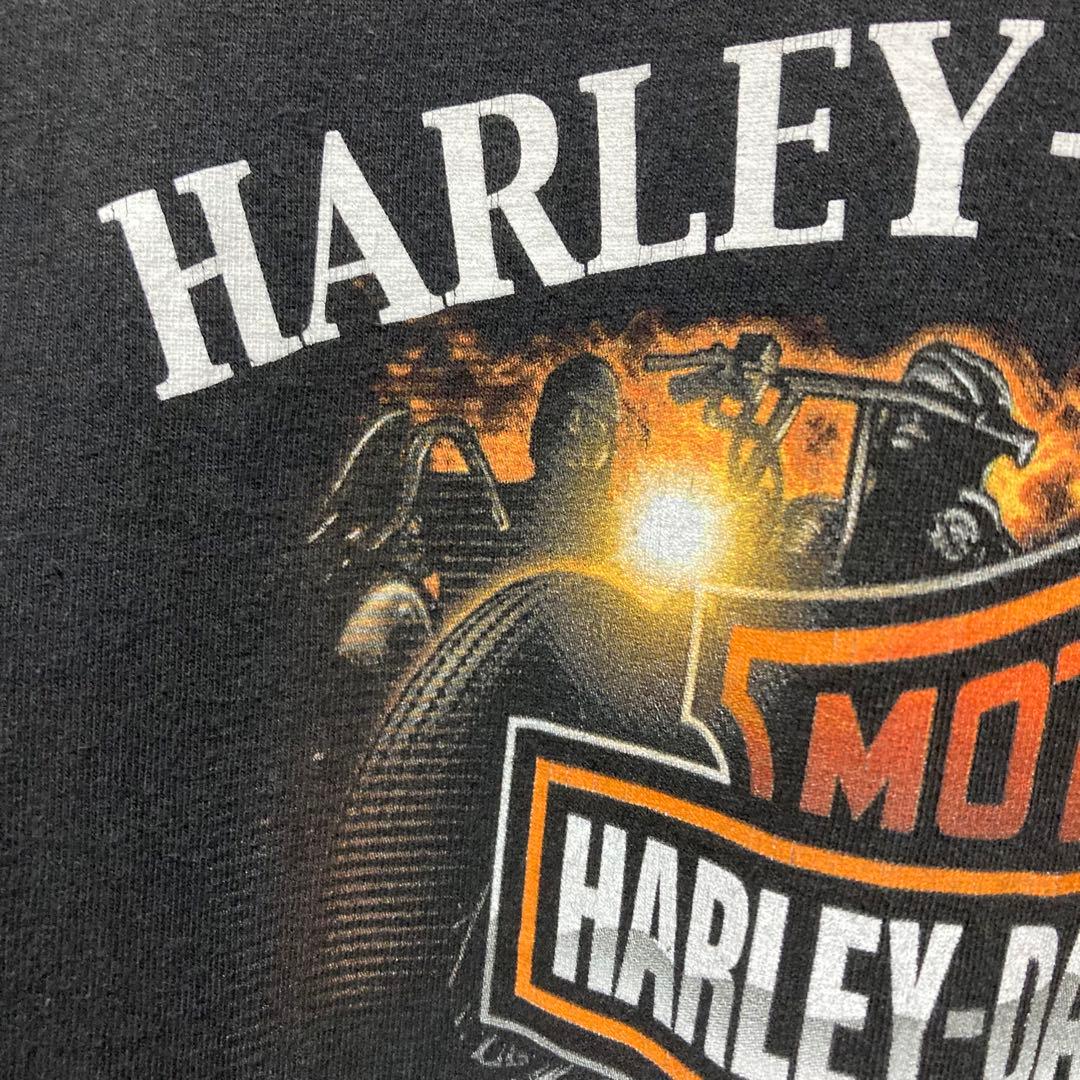 希少 HARLEY DAVIDSON ロンT ハーレーダビッドソン flame