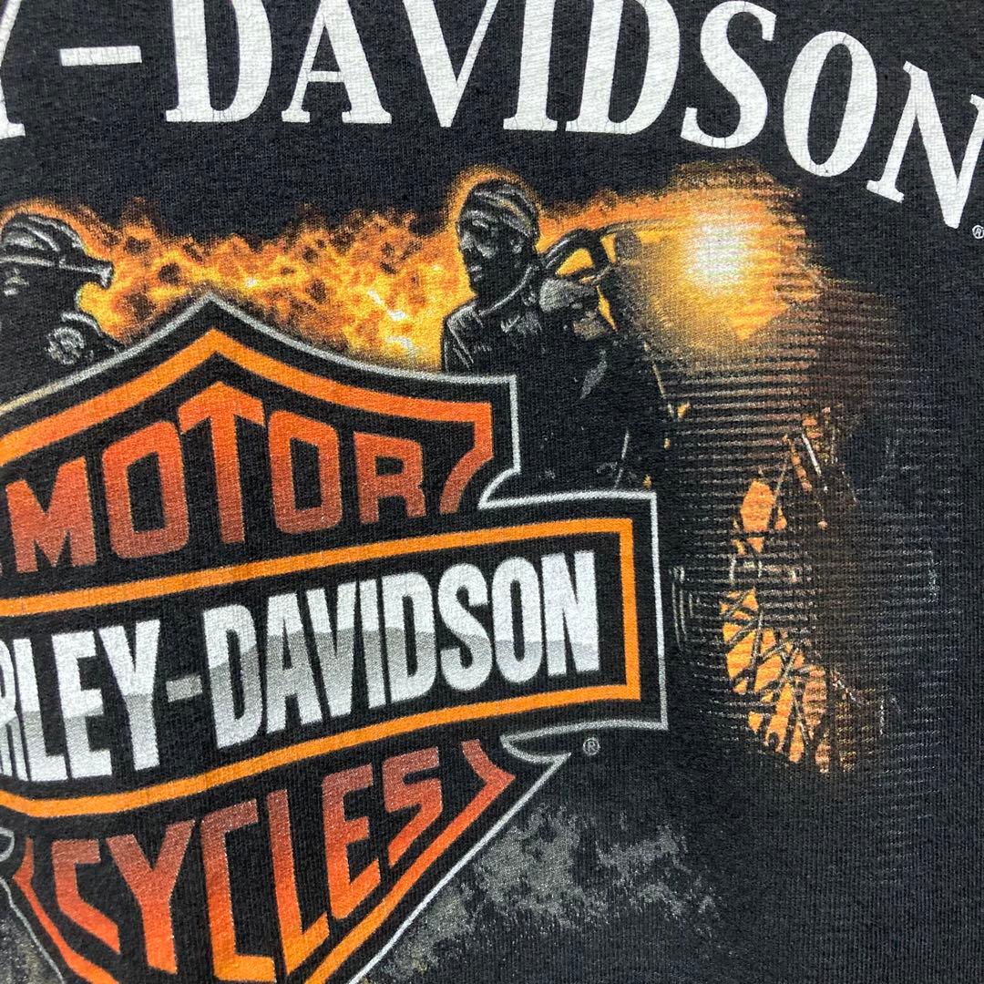 希少 HARLEY DAVIDSON ロンT ハーレーダビッドソン flame