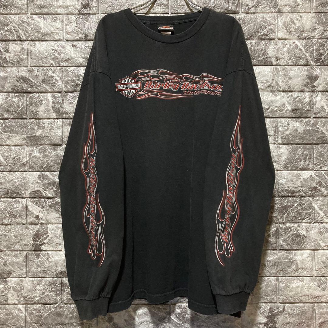 希少 HARLEY DAVIDSON ロンT ハーレーダビッドソン flame
