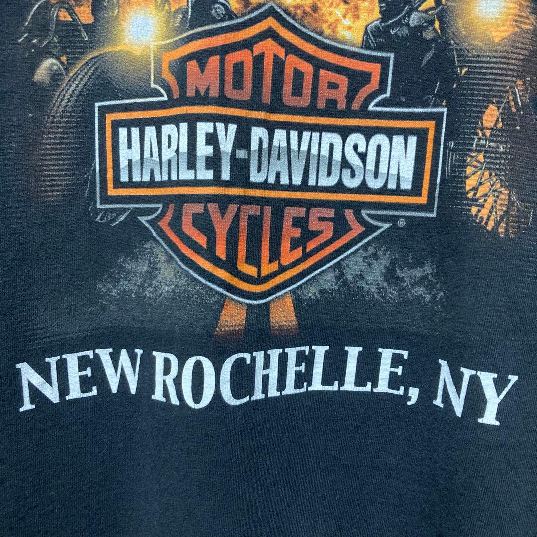 希少 HARLEY DAVIDSON ロンT ハーレーダビッドソン flame