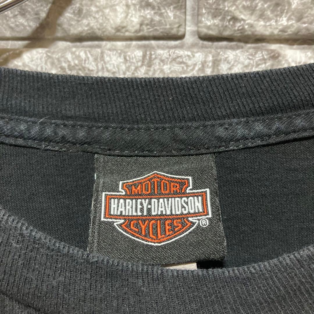 希少 HARLEY DAVIDSON ロンT ハーレーダビッドソン flame