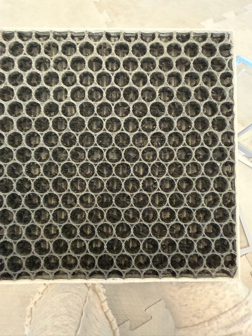 中古品‼️ Blueair Dust Magnet5210i空気清浄機