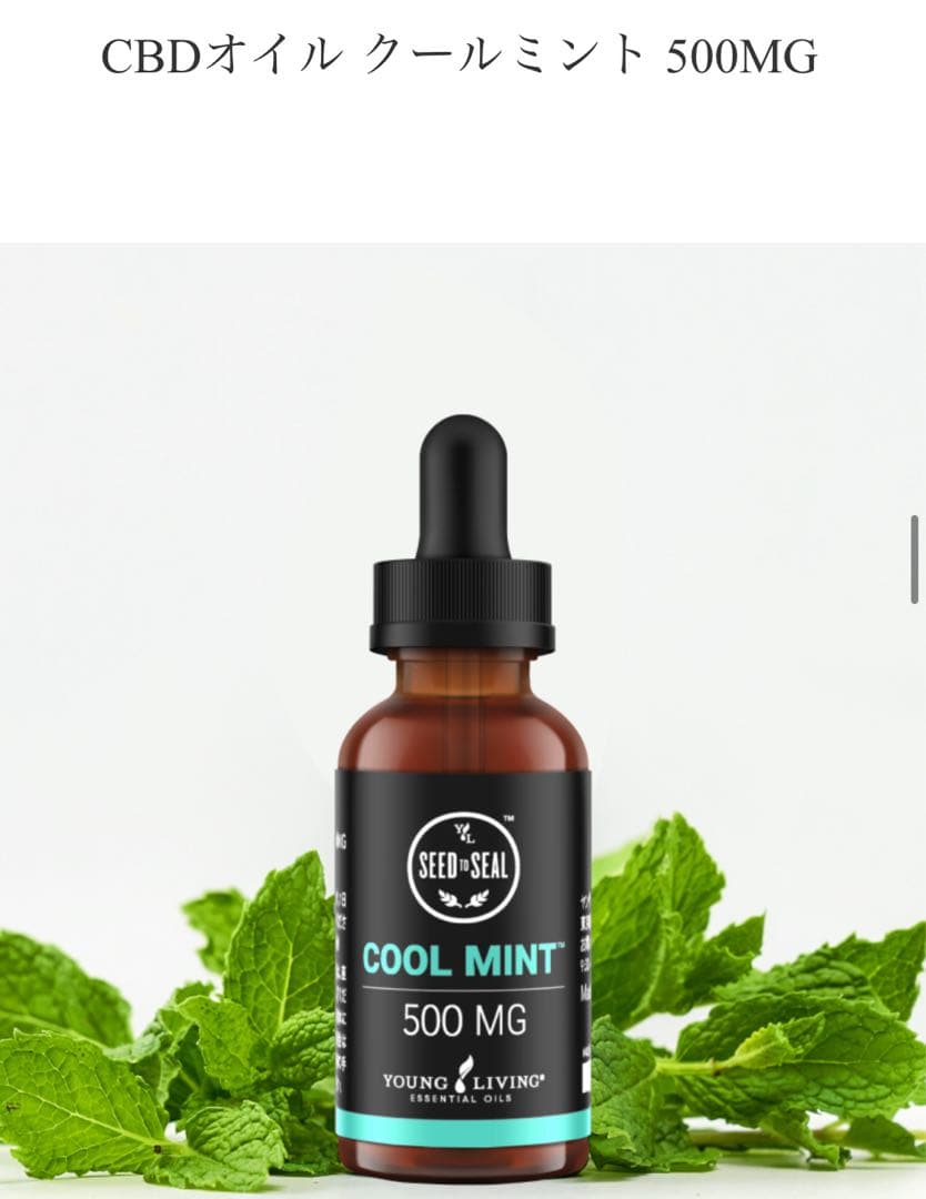 【特別セール】ヤングリビング CBD クールミント 500MG