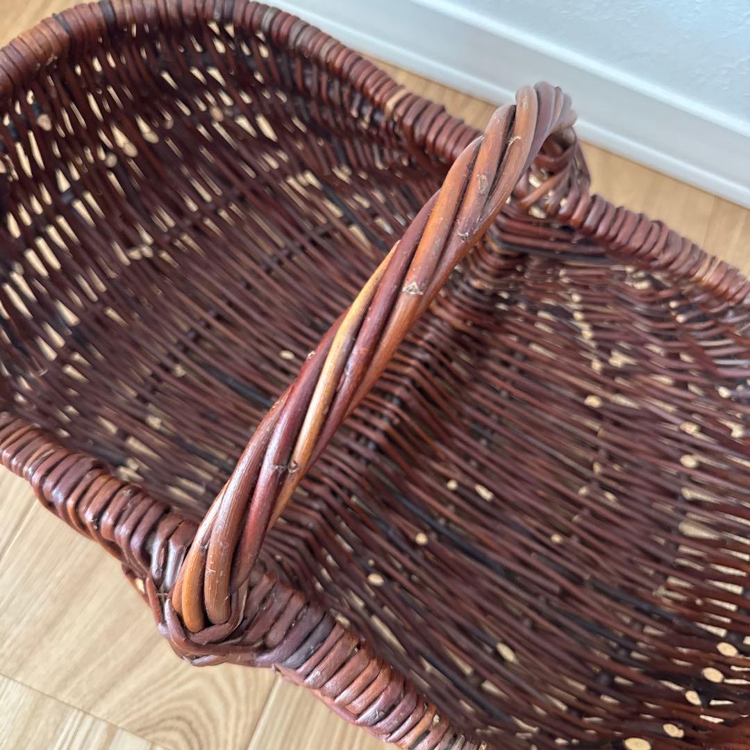 カゴアミドリ　フランス　カゴ　インテリア