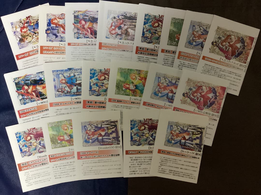 特典　転生した大聖女は聖女であることをひた隠す1〜12巻&ZERO2〜6巻 十夜