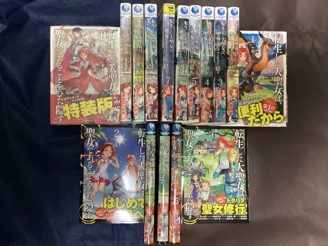 特典　転生した大聖女は聖女であることをひた隠す1〜12巻&ZERO2〜6巻 十夜