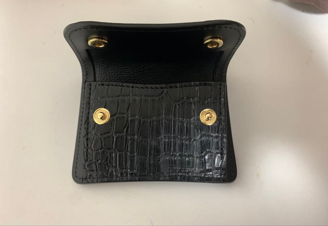 ワイルドスワンズ　ポロサス　タング