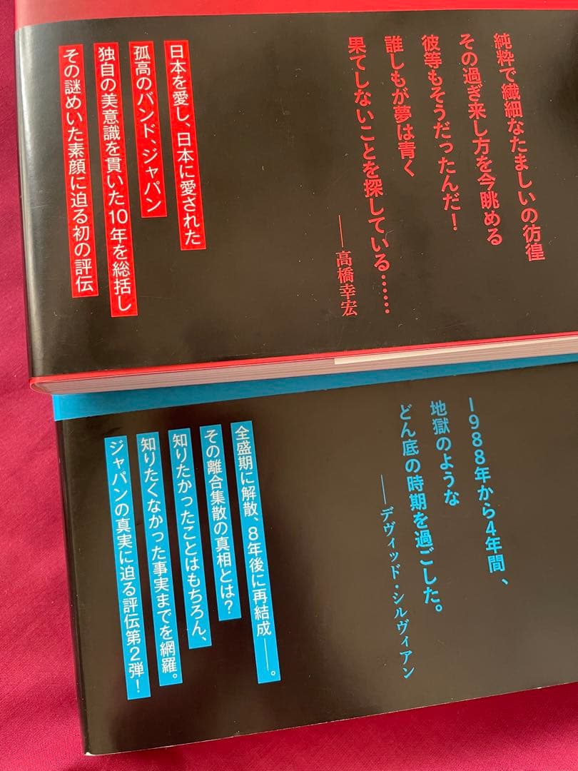 光と影のバンド全史　瓦解の美学　JAPAN
