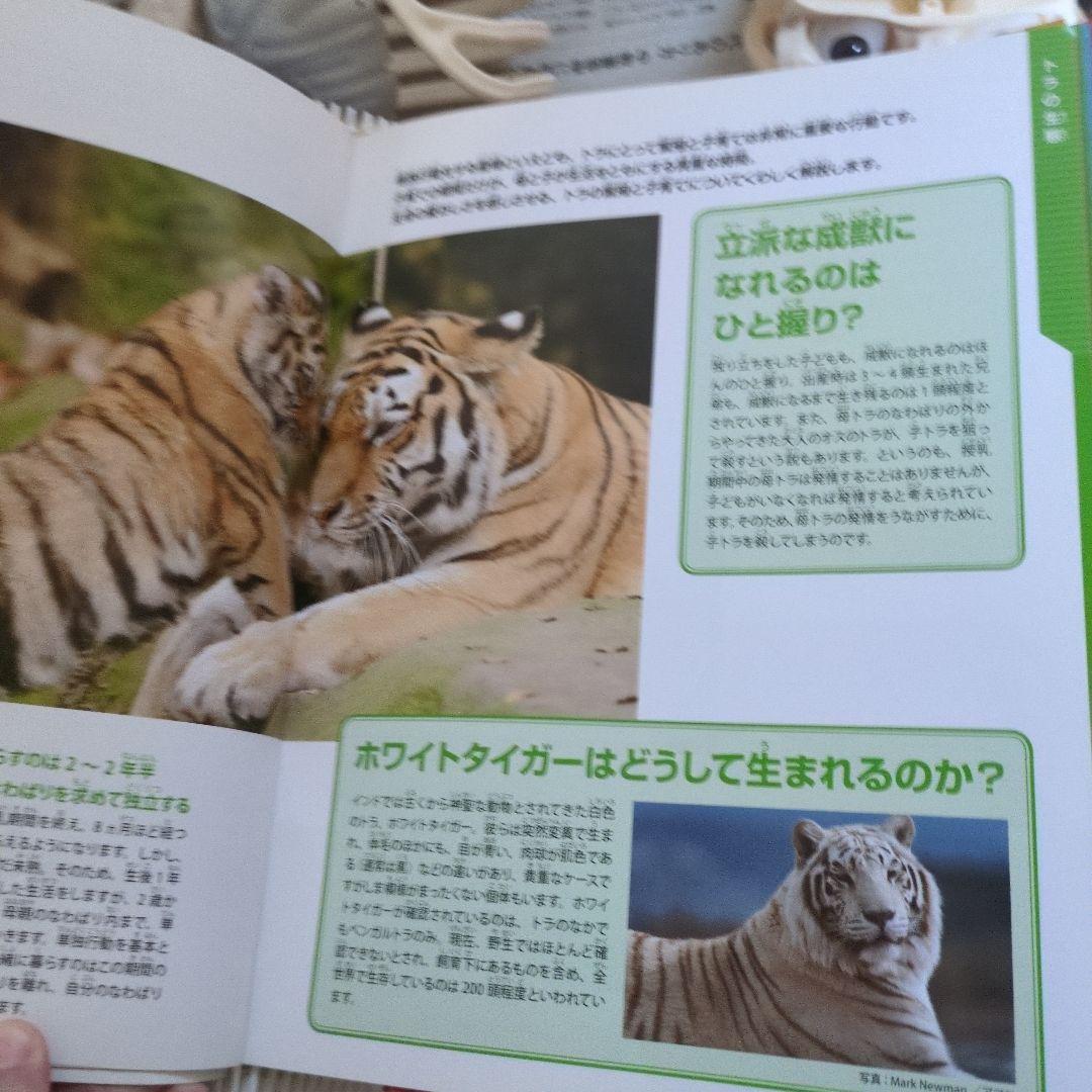 体のふしぎ 八冊セットとその他グッズ