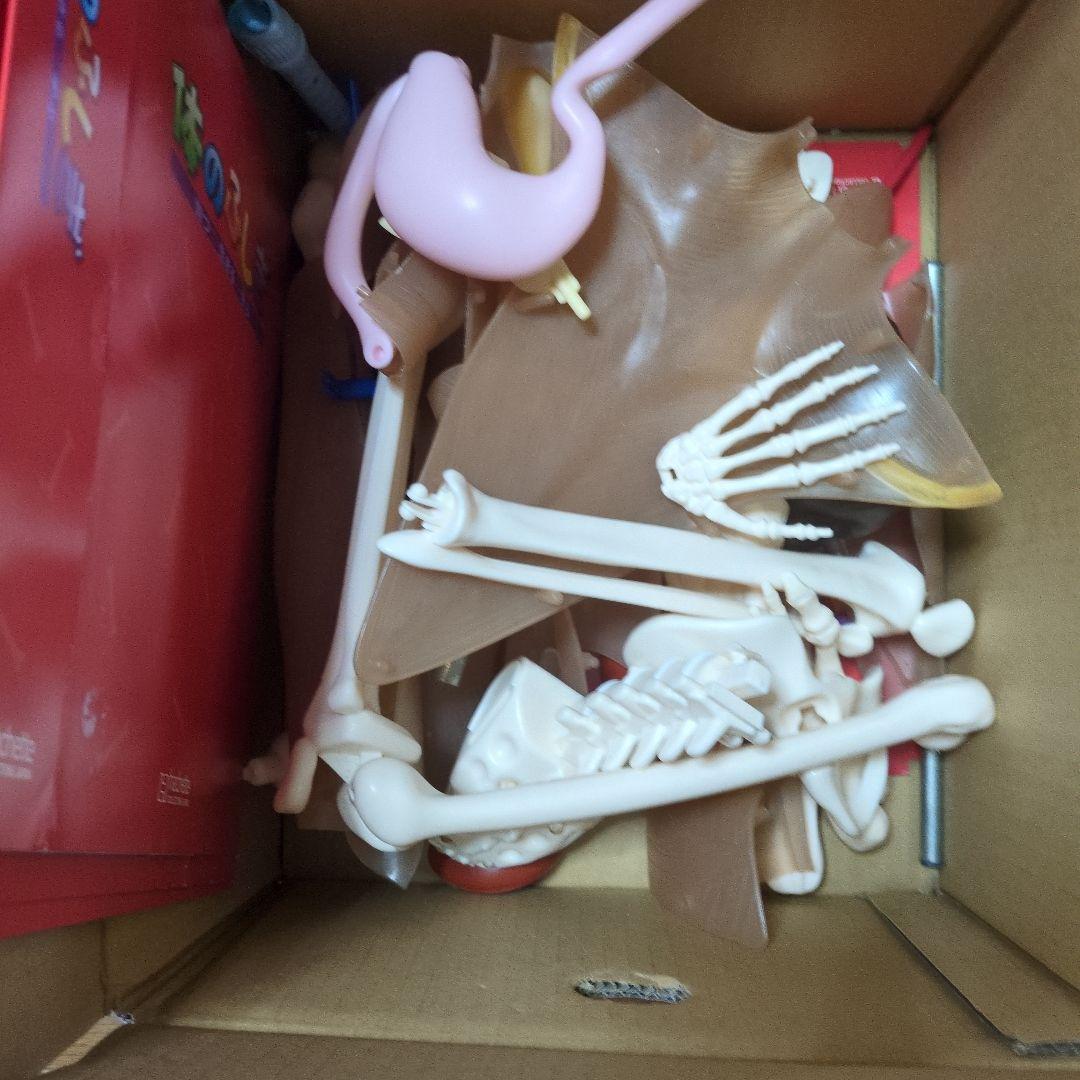 体のふしぎ 八冊セットとその他グッズ