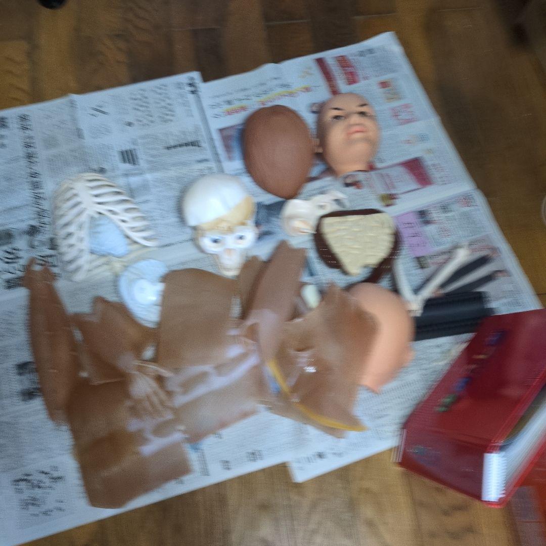 体のふしぎ 八冊セットとその他グッズ