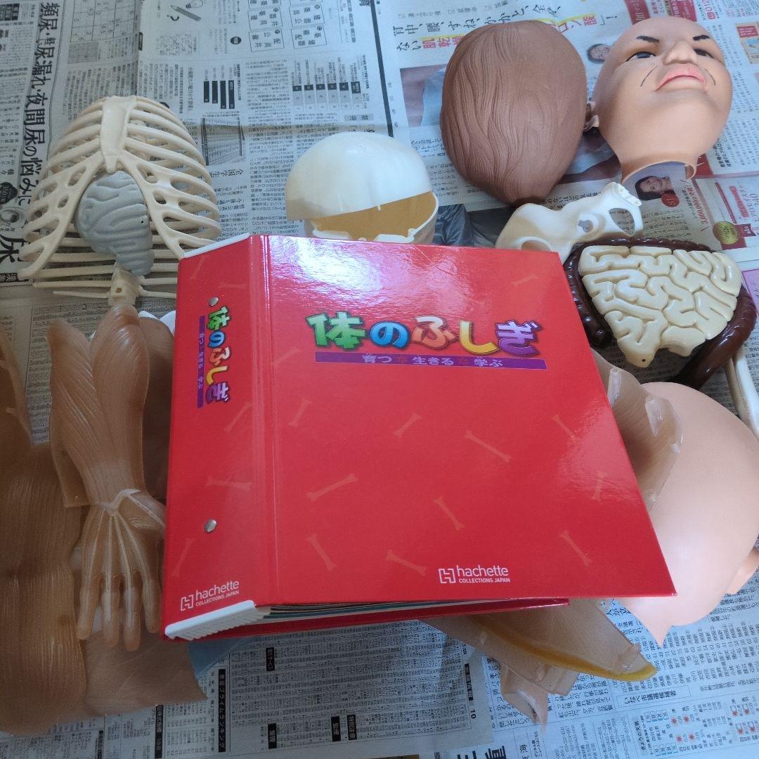 体のふしぎ 八冊セットとその他グッズ