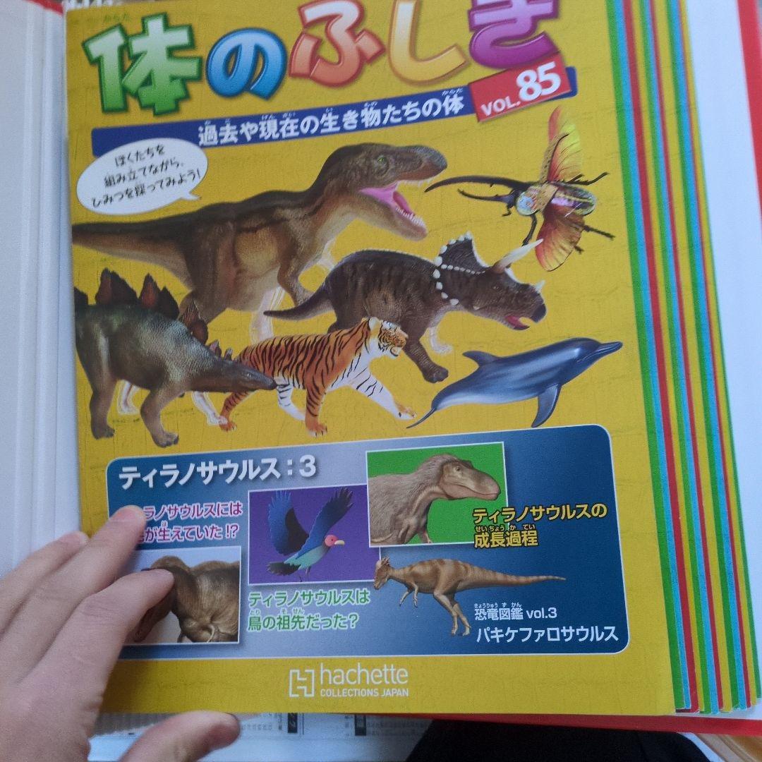 体のふしぎ 八冊セットとその他グッズ