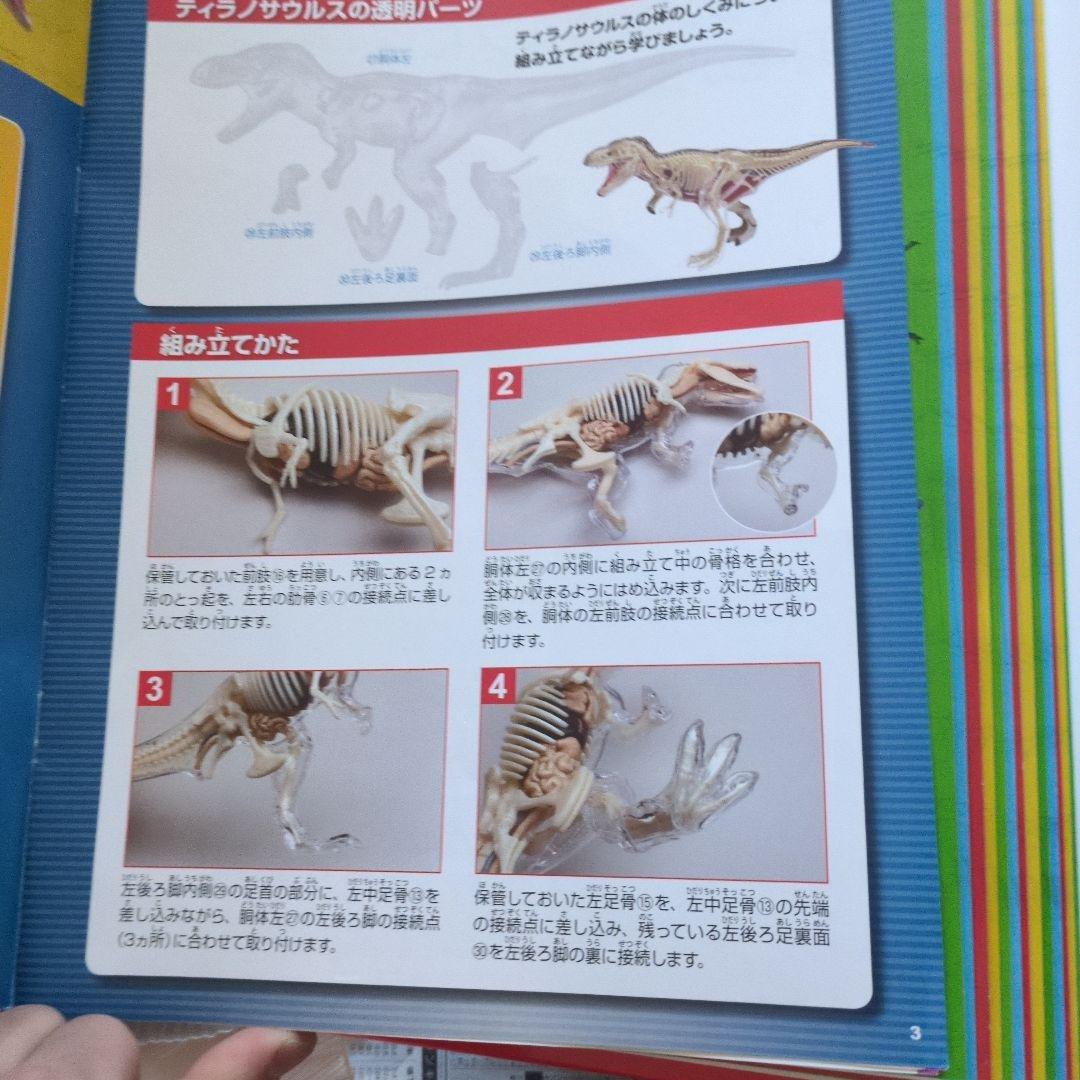 体のふしぎ 八冊セットとその他グッズ