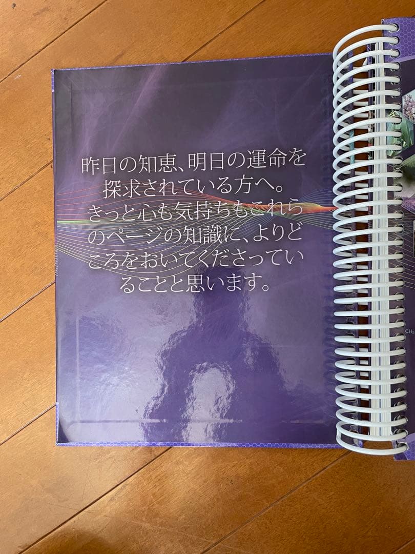 エッセンシャルオイル　デスクレファレンス第6版　ヤングリビング　日本語版