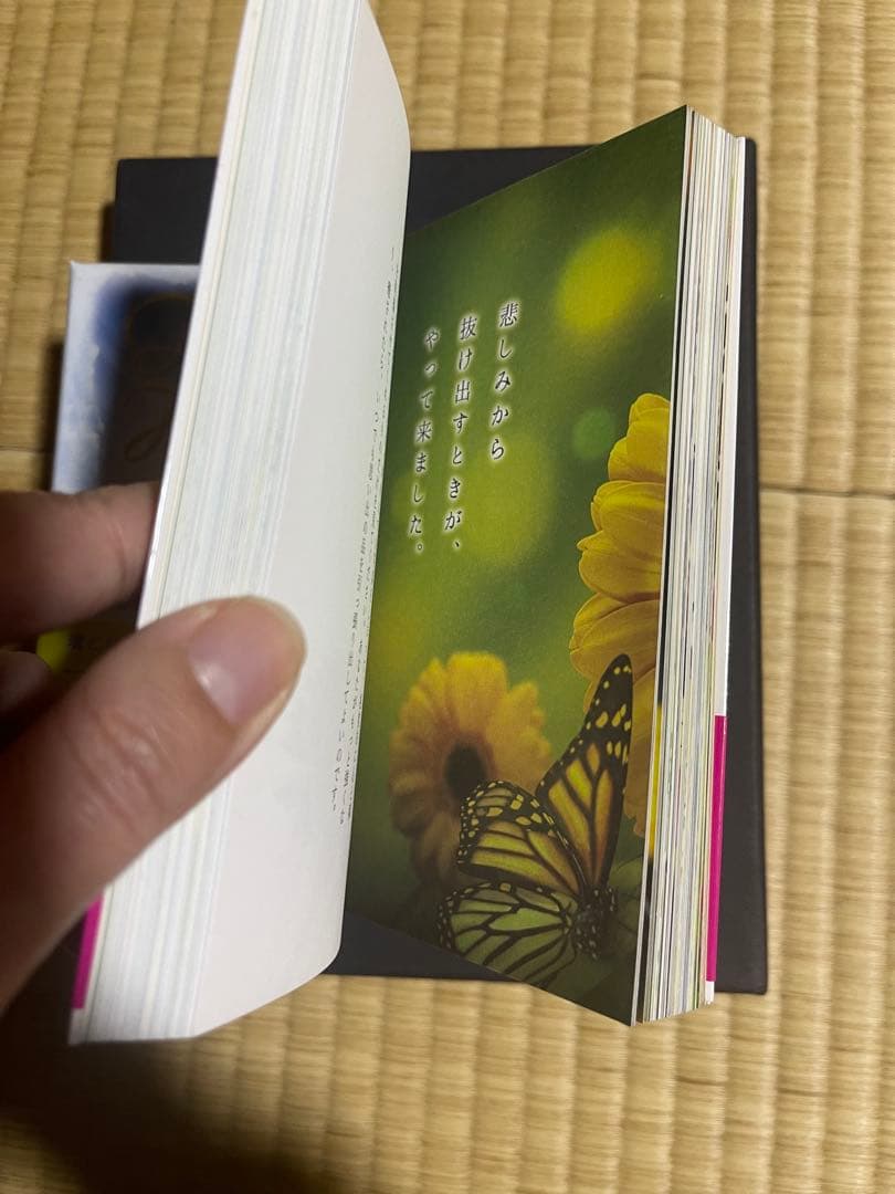 ドリーンバーチュー1度使用トーキングトゥヘブンオラクルカードとブックセット