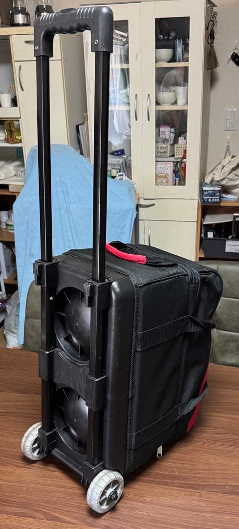 ABSボウリング用バッグ 2個用