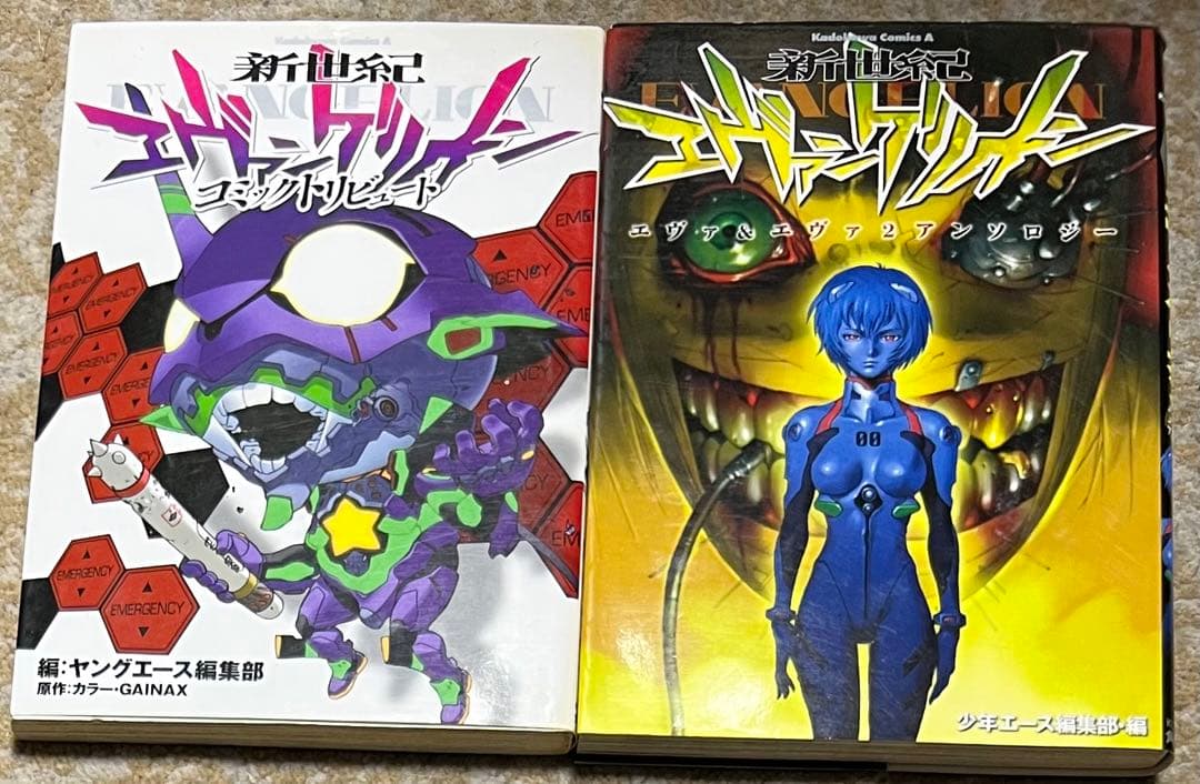 新世紀エヴァンゲリオン全巻セット＋α
