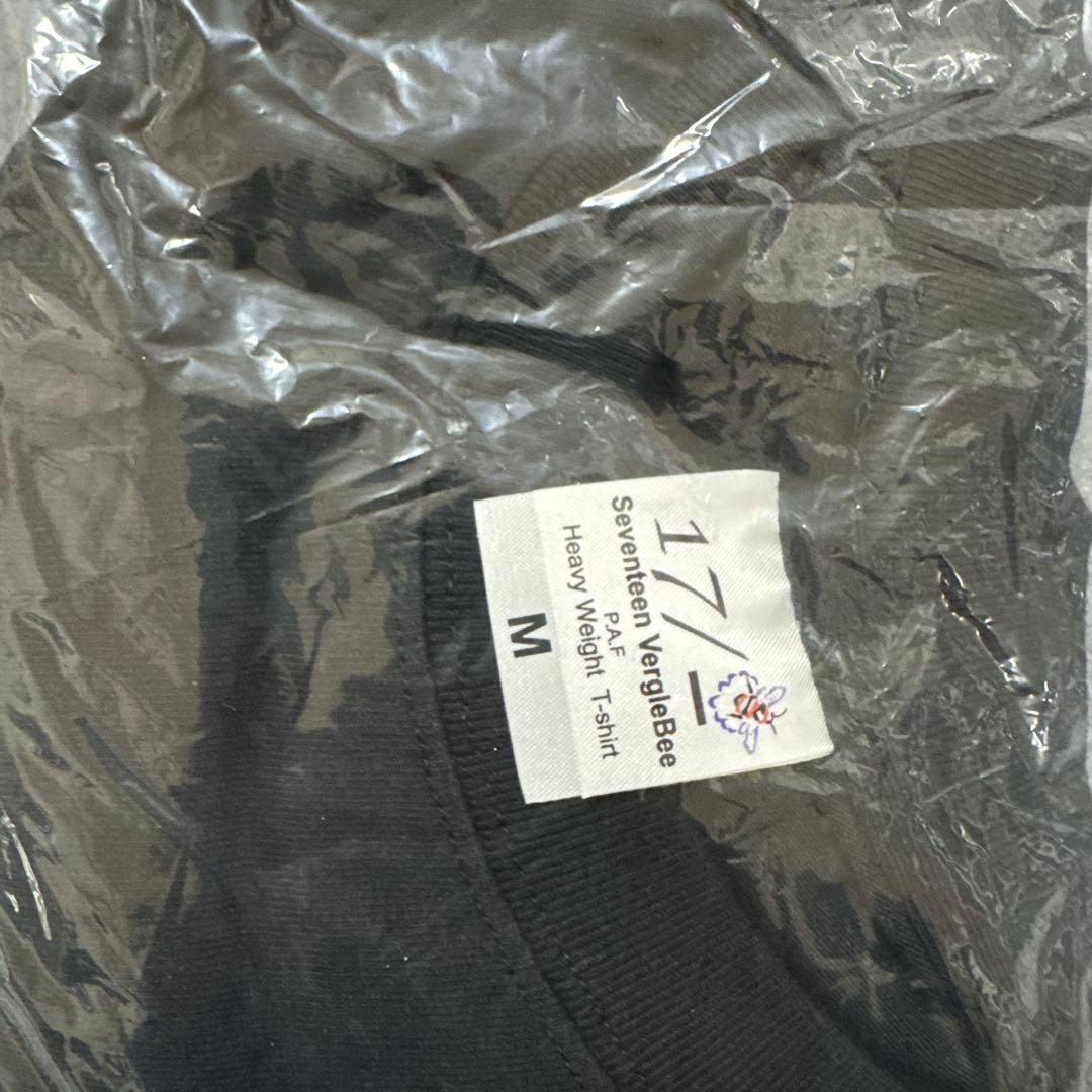 【パンフレット付き】狂い咲きサンダーロード コレクターズ・エディション