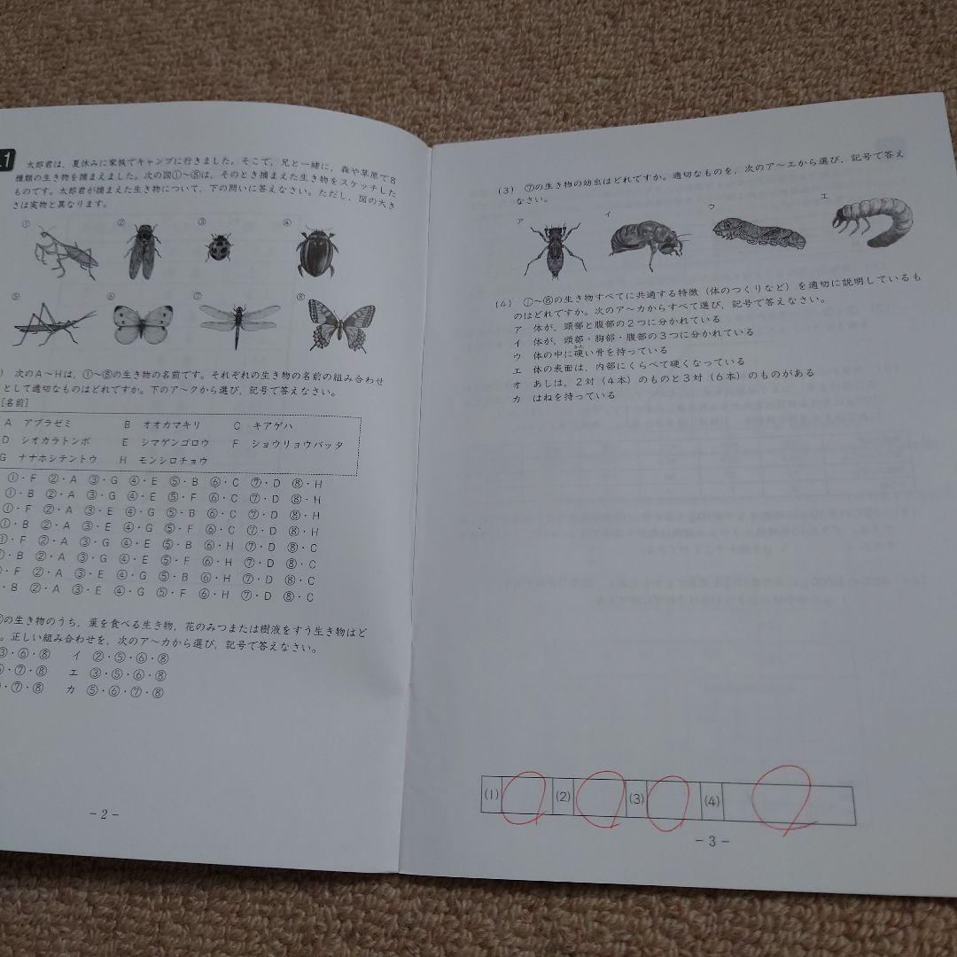 サピックス　SS理科　単科講座☆中学受験、浜学園、四谷大塚、日能研、早稲アカ