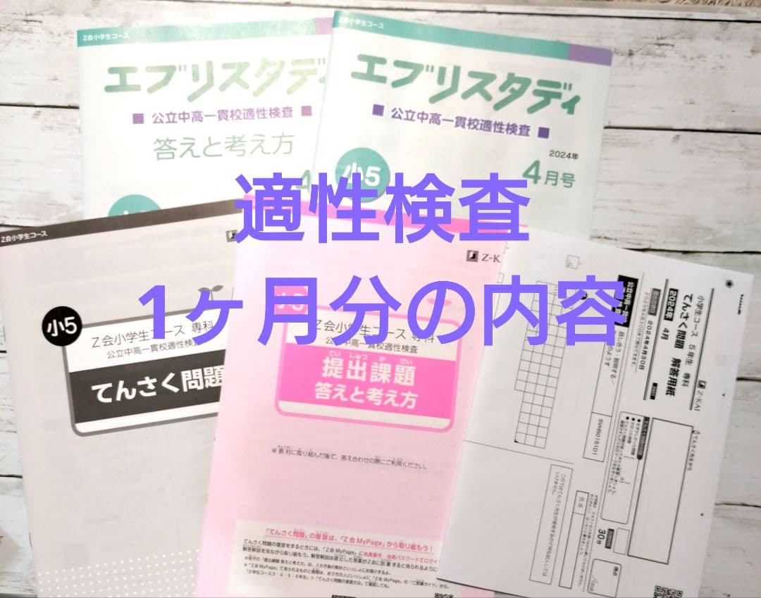 【期間限定セール】Z会5年生 公立中高一貫校適性検査&作文 1年間　92400円