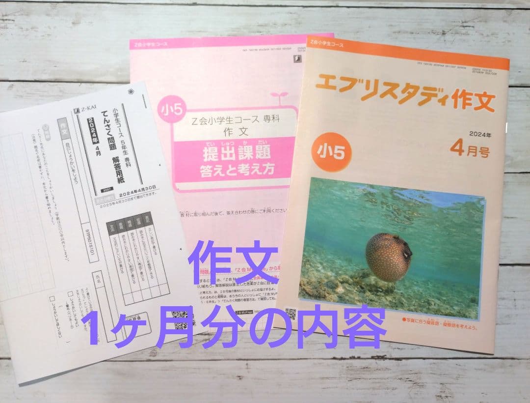 【期間限定セール】Z会5年生 公立中高一貫校適性検査&作文 1年間　92400円