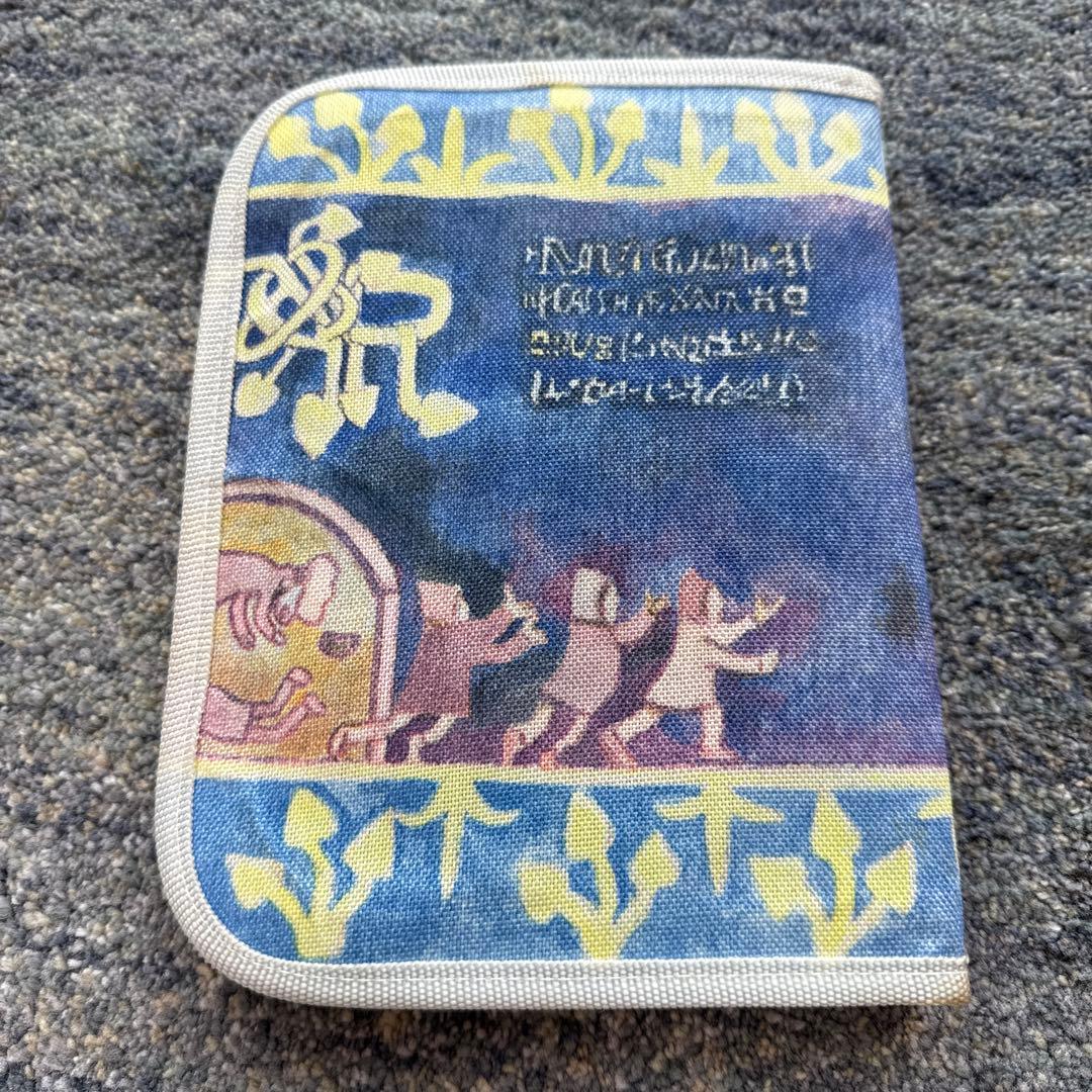 ピクチャー仕様　風の谷のナウシカ DVD＋ケース付き