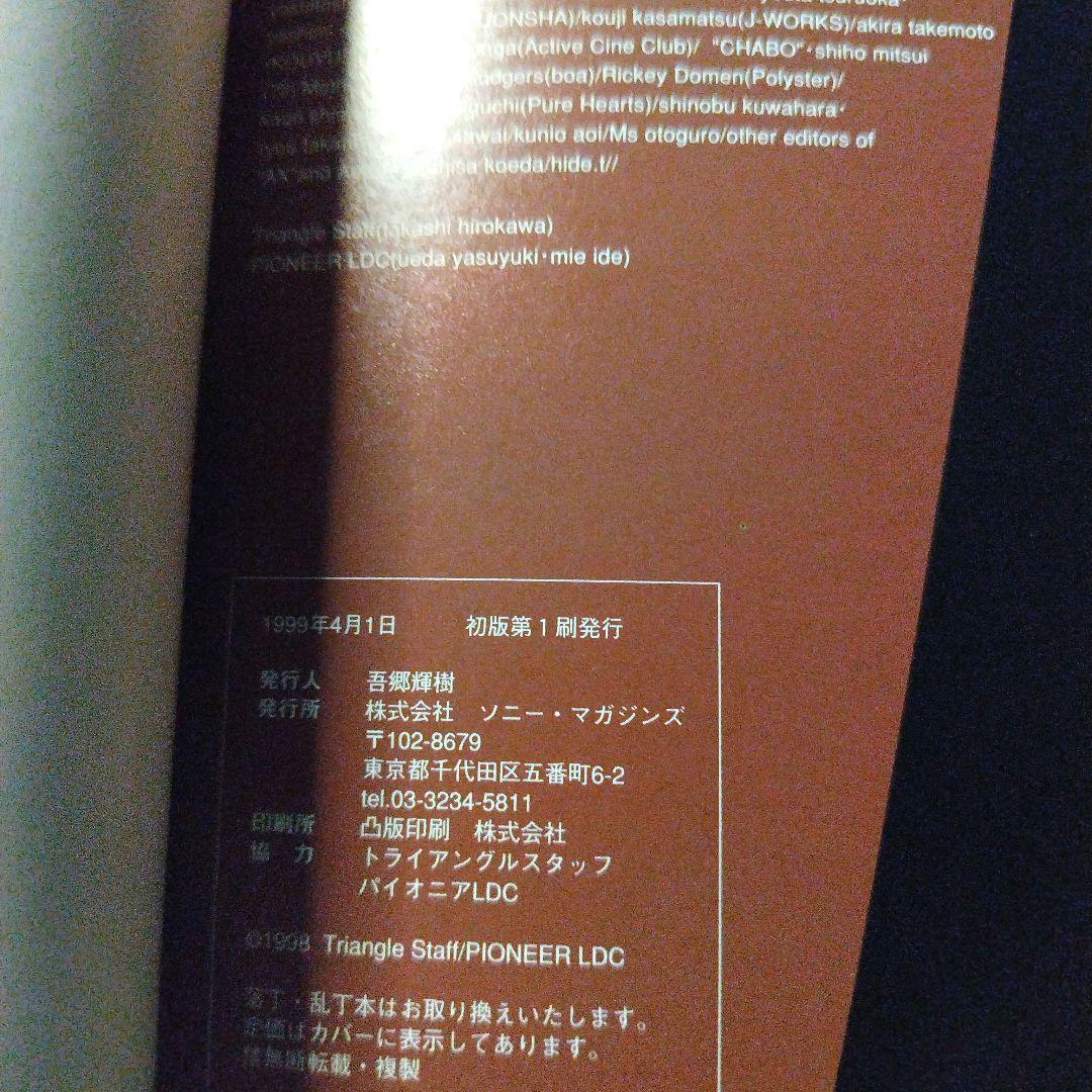 ビジュアルエクスペリメンツ レイン lain