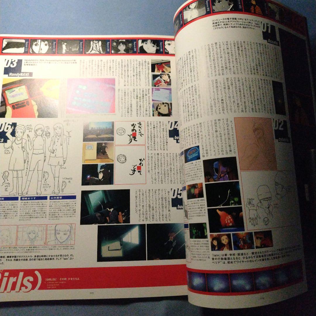 ビジュアルエクスペリメンツ レイン lain