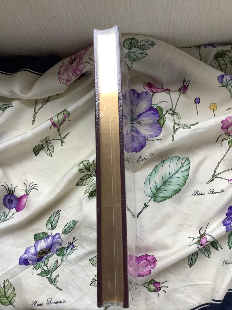 Hunch Back of Norte Dame V Hugo ノートルダムの鐘