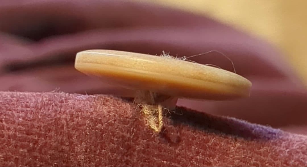 イノセントワールド　スカート　別珍　ボルドー　ワイン　プリーツ　日本製