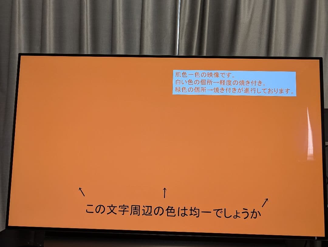 LG OLED 4K 有機ELテレビ 48V　OLED48C1PJB