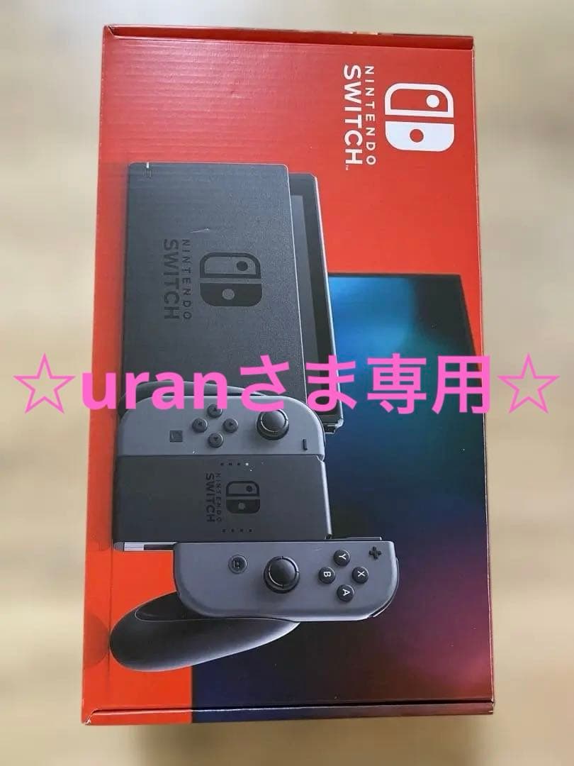 Nintendo Switch 本体 グレー コントローラー付き 中古