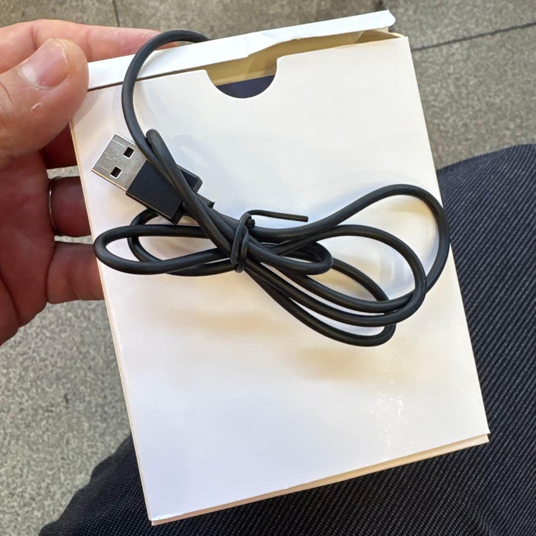 最安値　Ottocast PICASOU 2