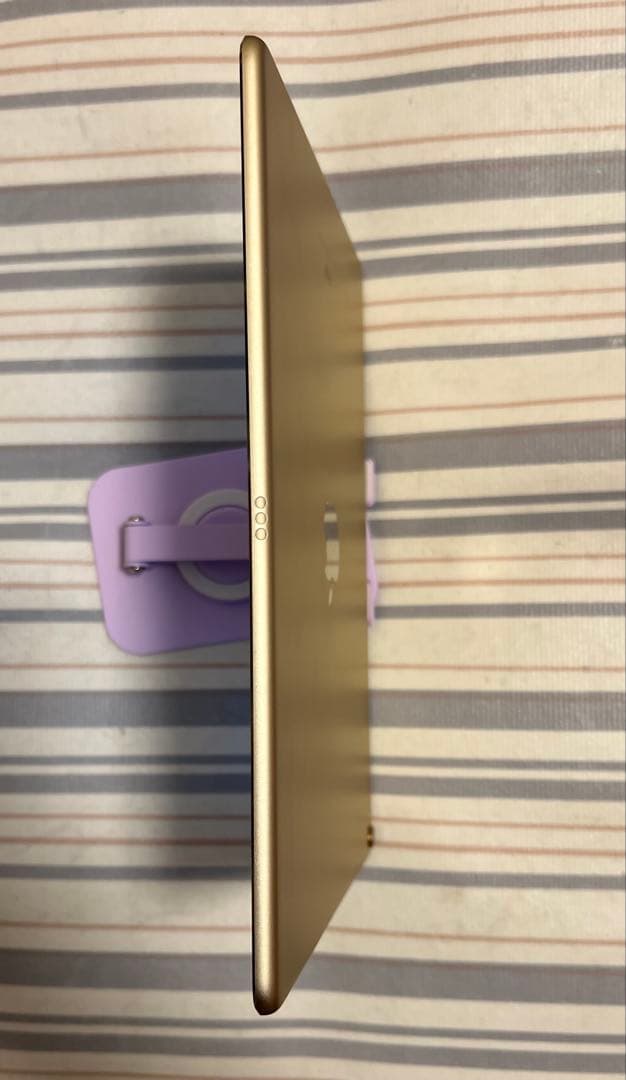 Apple 10.5インチ iPad Pro（2017） 256GB