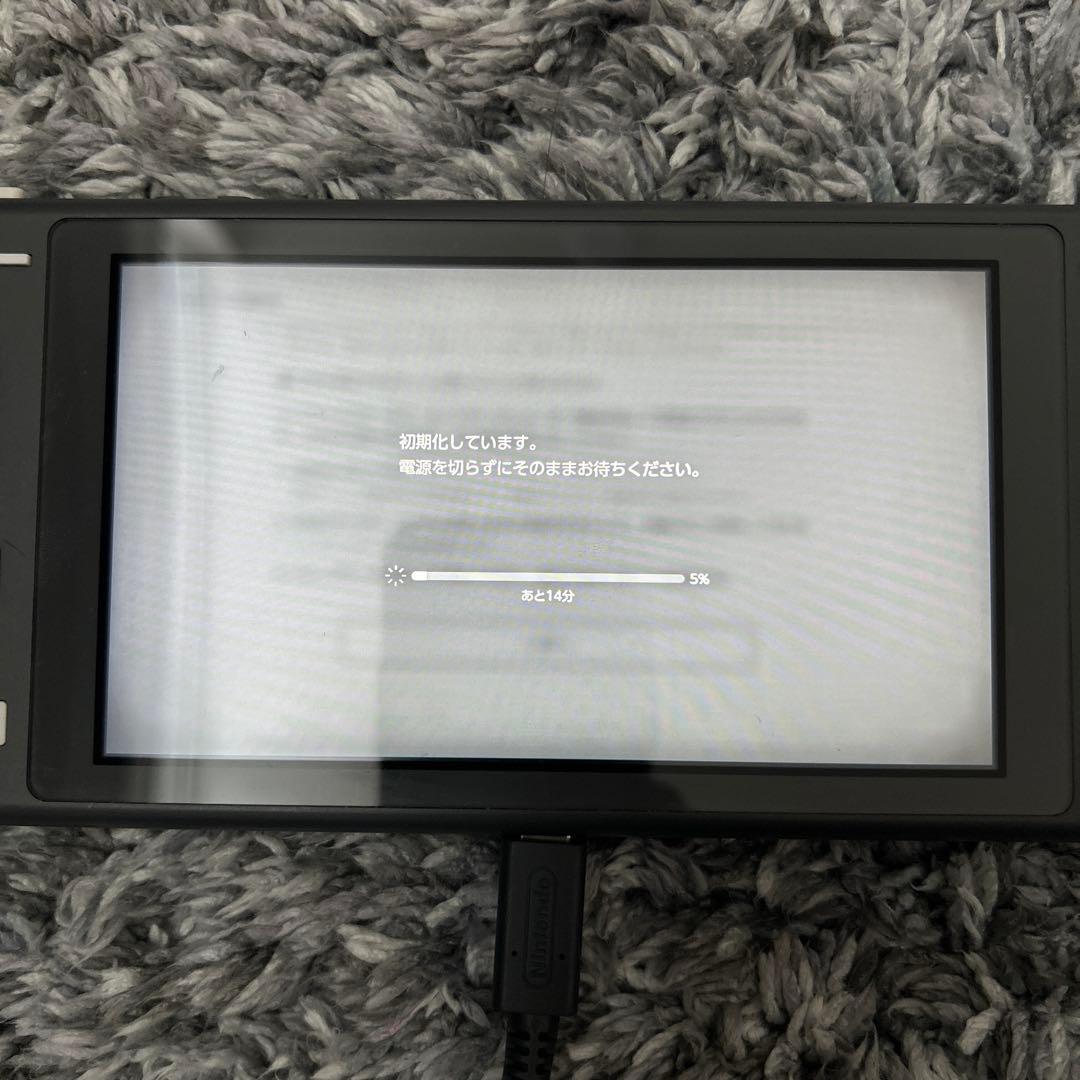 Switch Light 本体のみ