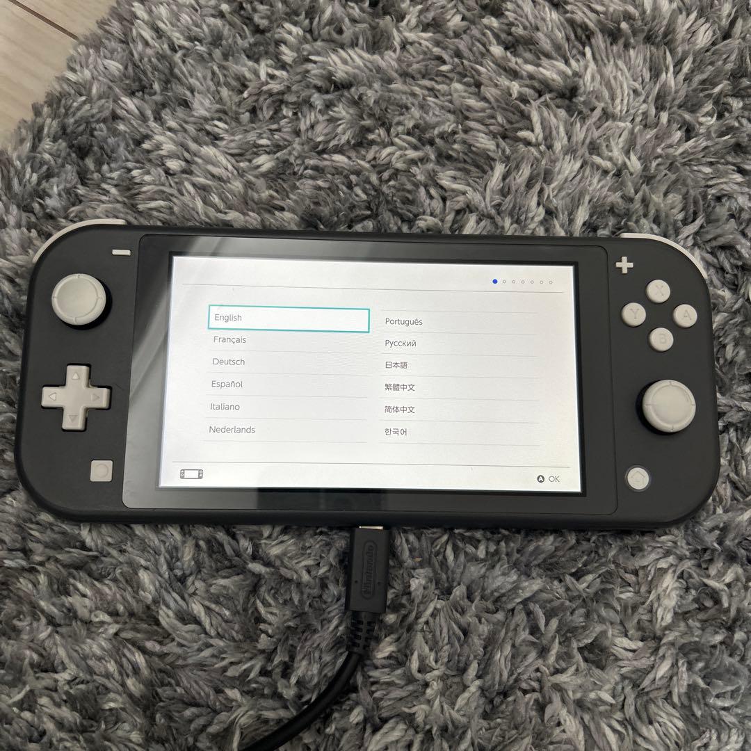 Switch Light 本体のみ