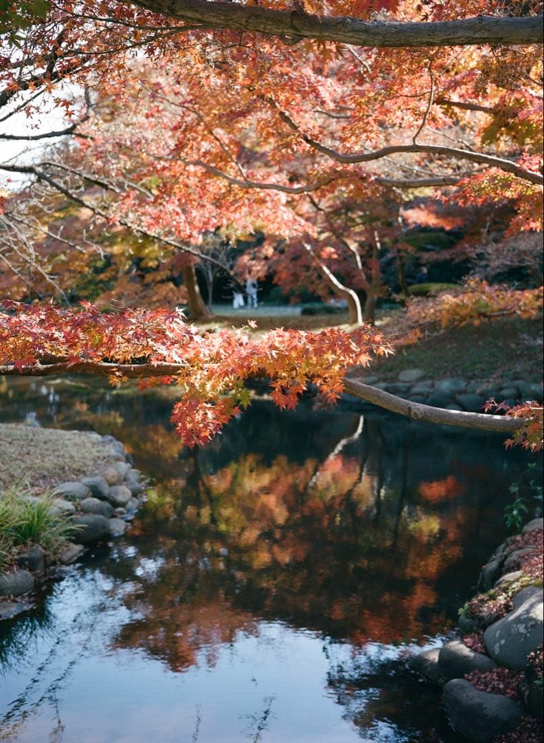 【即発送可！完動品作例あり】FUJIFILM GA645Professional