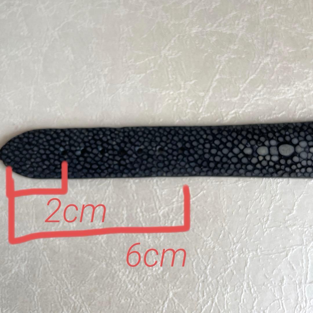 スティングレイ スターマーク　腕時計ベルト ガルーシャ エイ革 天然 Dバックル