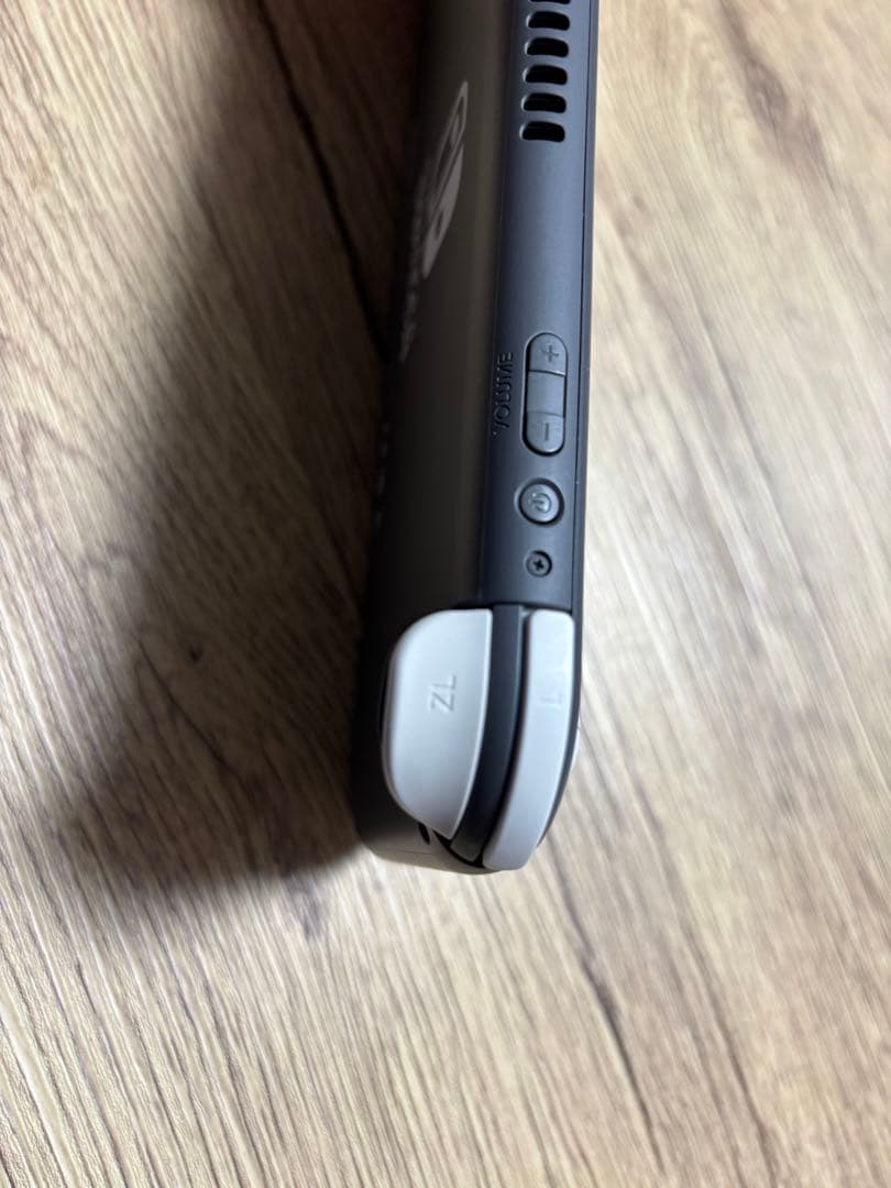 Switch Lite グレー 本体、専用ケース、充電器（スイッチライト）