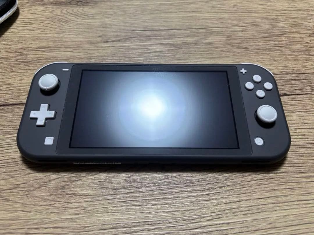 Switch Lite グレー 本体、専用ケース、充電器（スイッチライト）