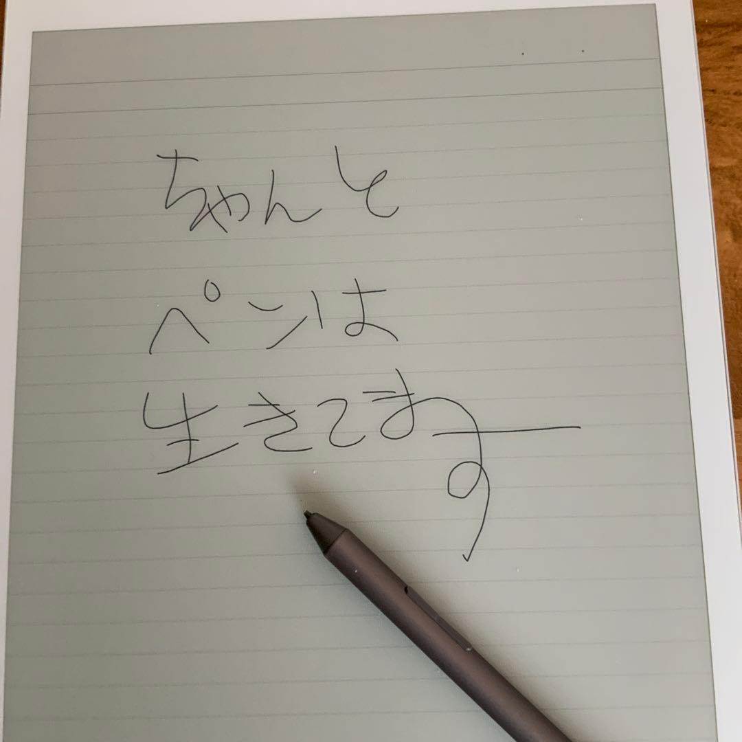 SONY 箱・ペン・カバー付き　DPT-RP1