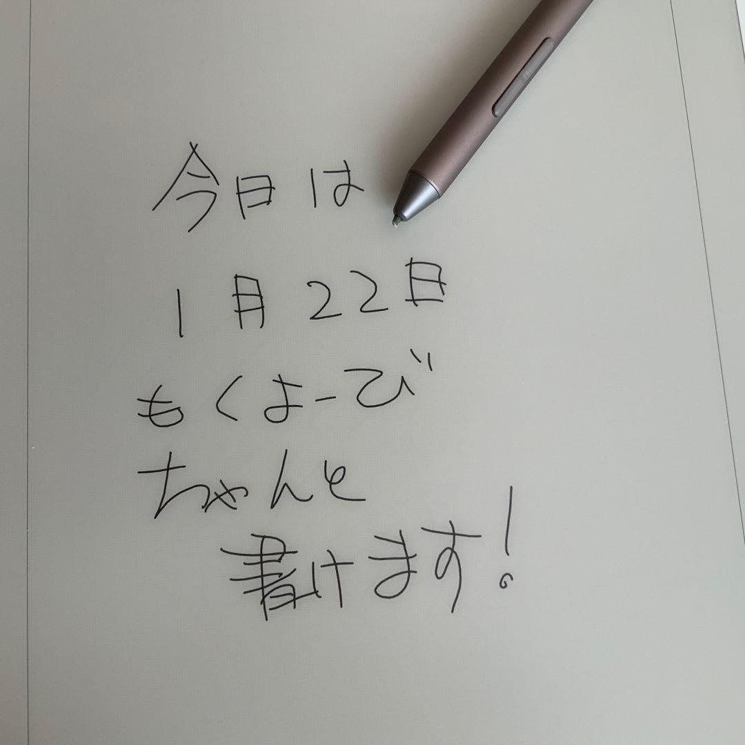 SONY 箱・ペン・カバー付き　DPT-RP1