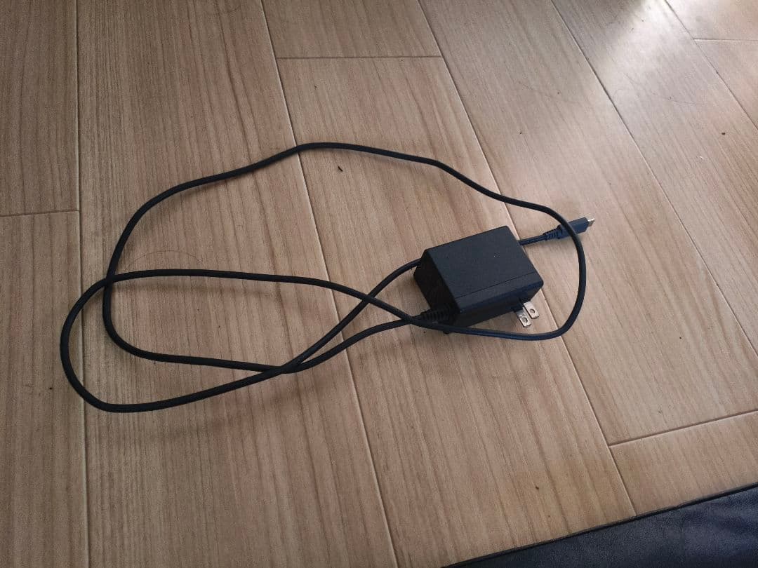 switch　Light　充電器　ケースつき