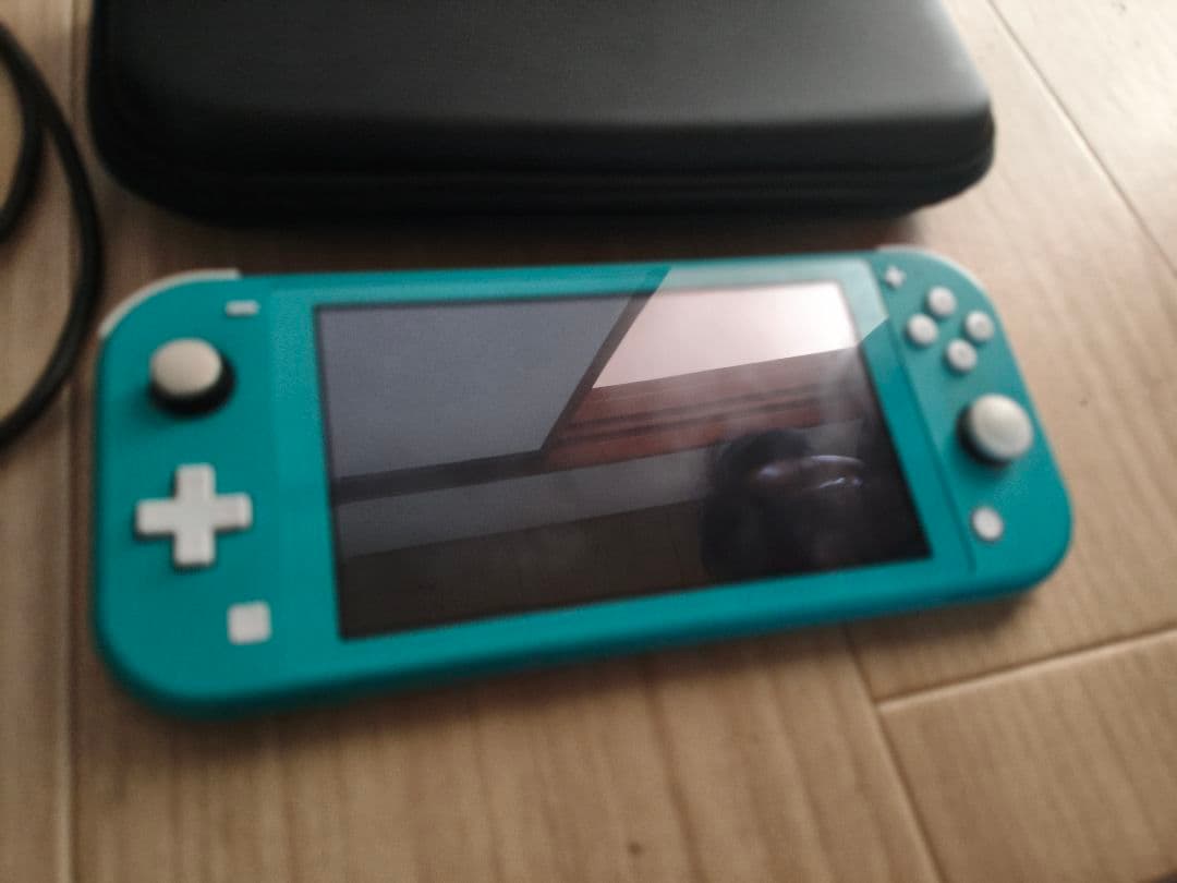 switch　Light　充電器　ケースつき