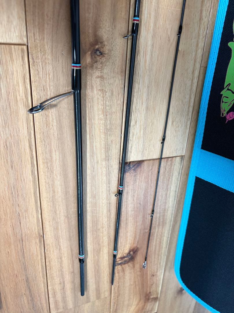 fin-ch フィンチ カナリア アゾレス 77