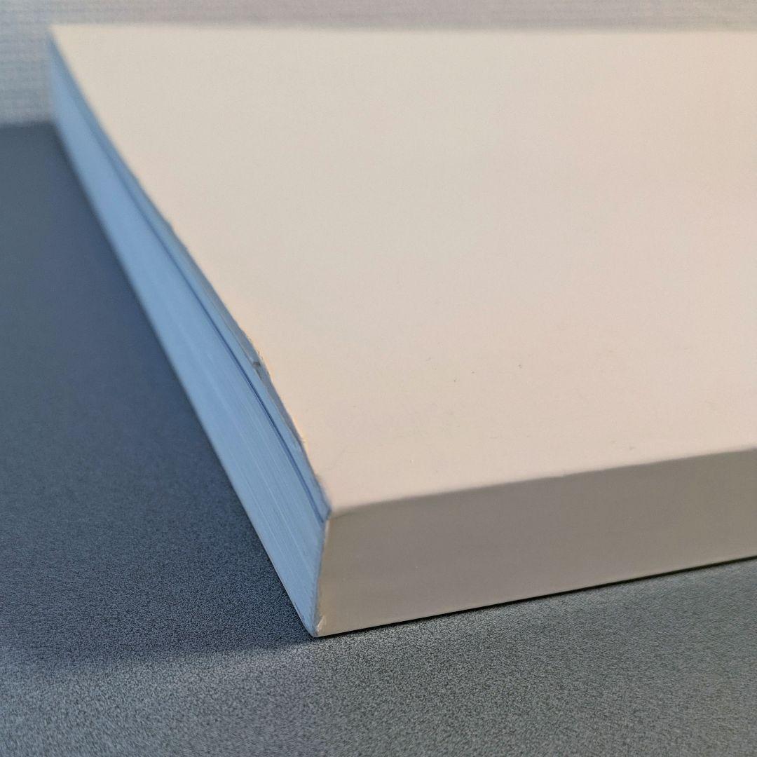 BAPEMANIA#01＆BAPEカモカタログ A BATHING APE