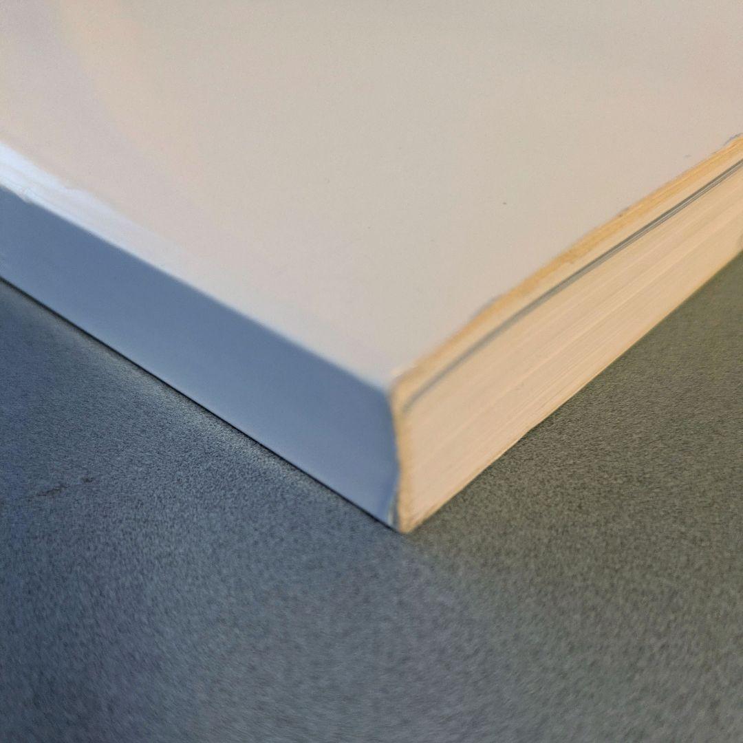 BAPEMANIA#01＆BAPEカモカタログ A BATHING APE