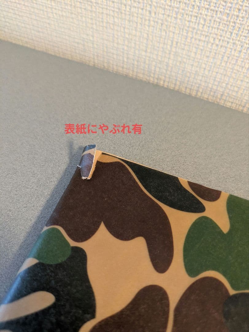 BAPEMANIA#01＆BAPEカモカタログ A BATHING APE